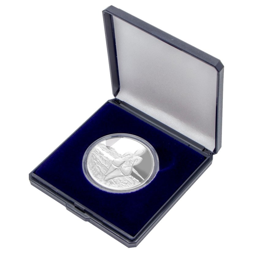 Nález plastiky ženy v Dolních Věstonicích, tzv. Věstonická venuše, v etuji, ČNB 2025